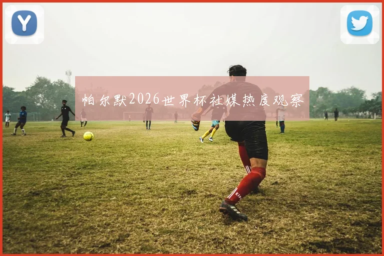 帕尔默2026世界杯社媒热度观察