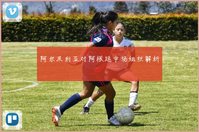 阿尔及利亚对阿根廷中场组织解析