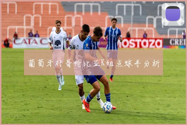 葡萄牙对哥伦比亚K组点球手分析
