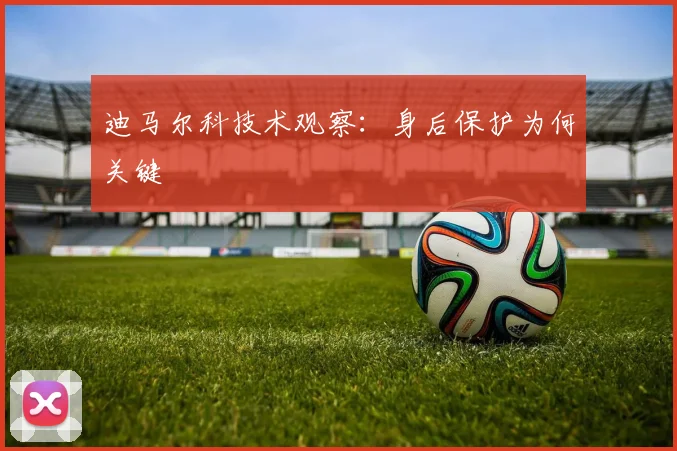 迪马尔科技术观察：身后保护为何关键