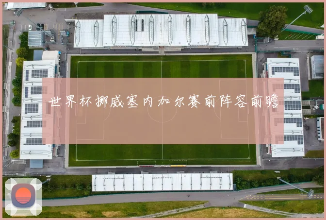世界杯挪威塞内加尔赛前阵容前瞻